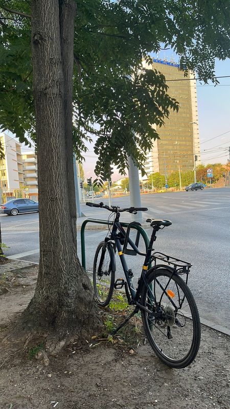 Kondorosi út, Budapest - Kondorosi út, Budapest