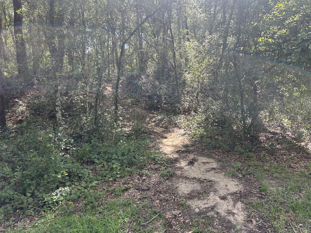 N Apopka Ave, Inverness to Withlacoochee State Trail, Brooksville