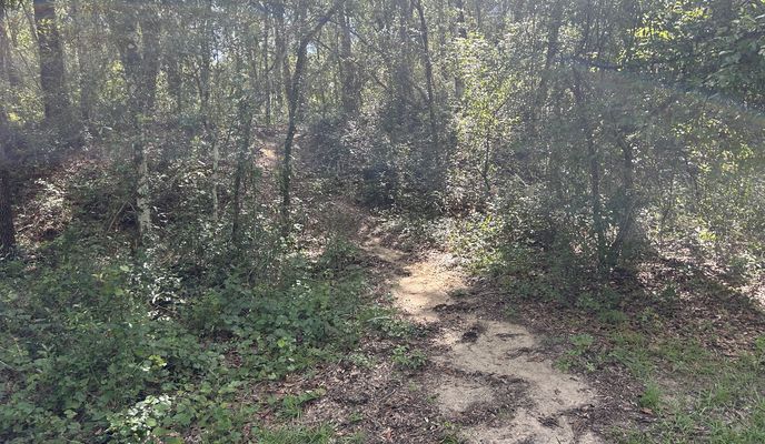 Photo 1 of the Bikemap route "N Apopka Ave, Inverness to Withlacoochee State Trail, Brooksville"