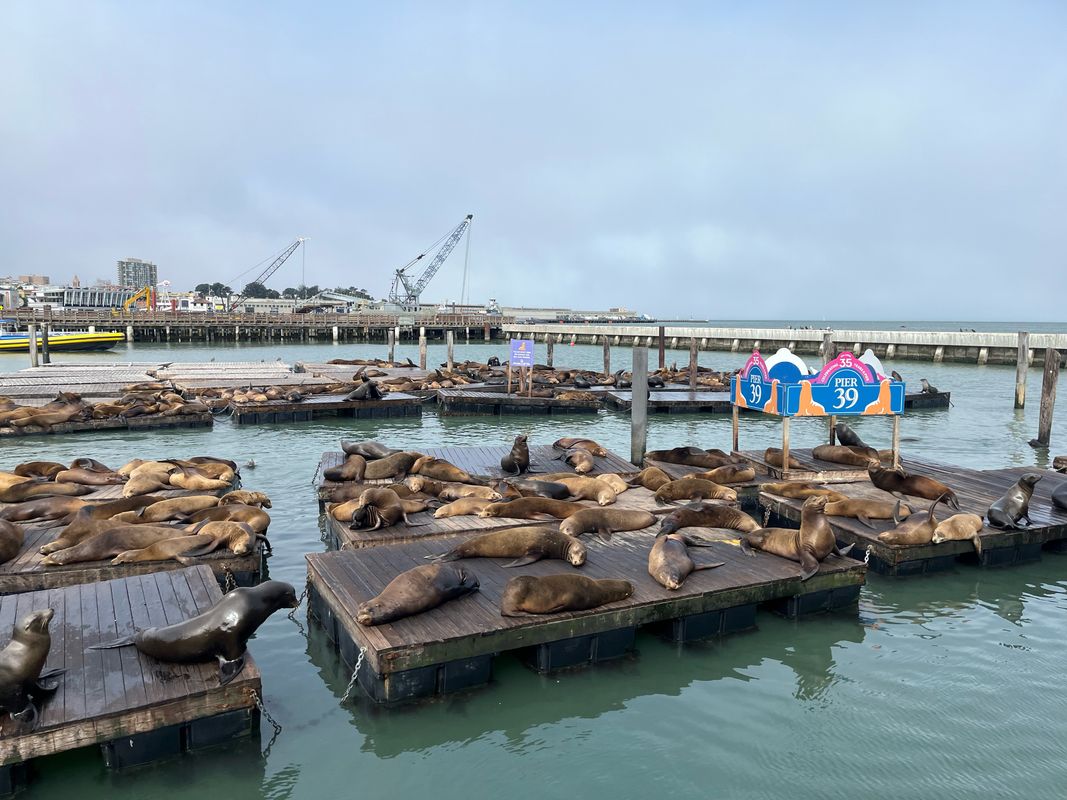 Beach St, San Francisco a Beach St, San Francisco