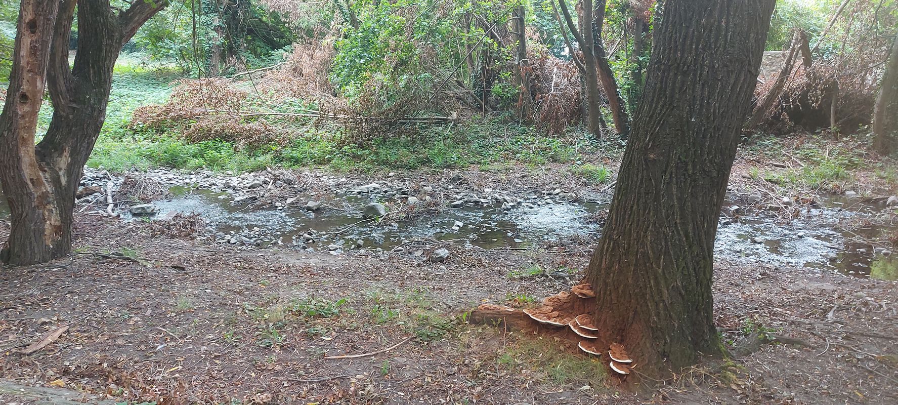 Névtelen Út - Vanília utca