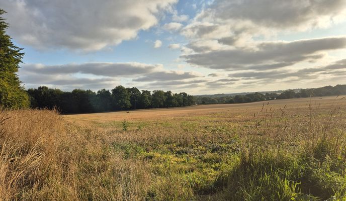Foto 1 de la ruta de Bikemap "John of Gaunt Close to John of Gaunt Close"