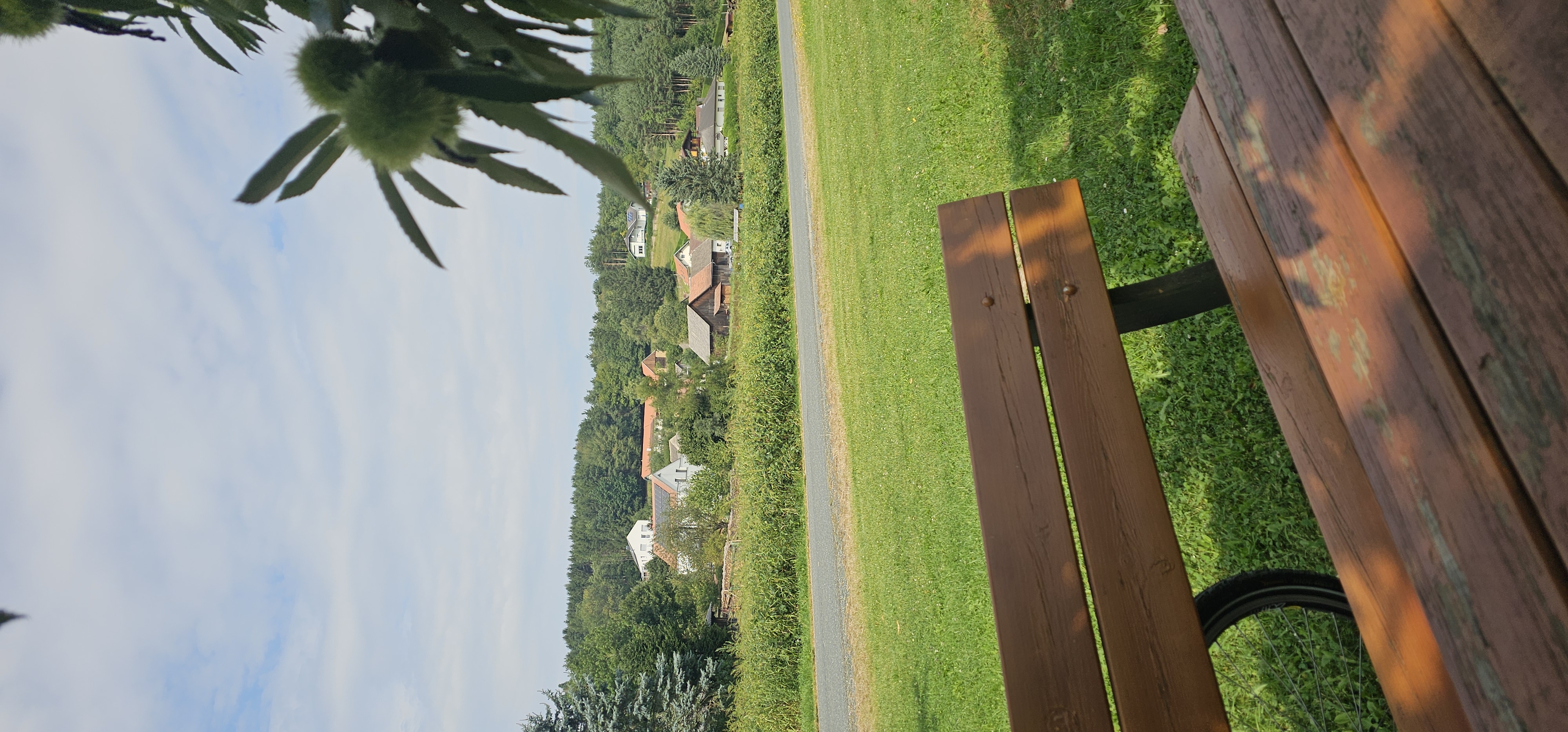 Birkengasse nach Brunnwiese