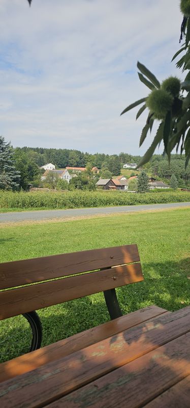 Birkengasse nach Brunnwiese