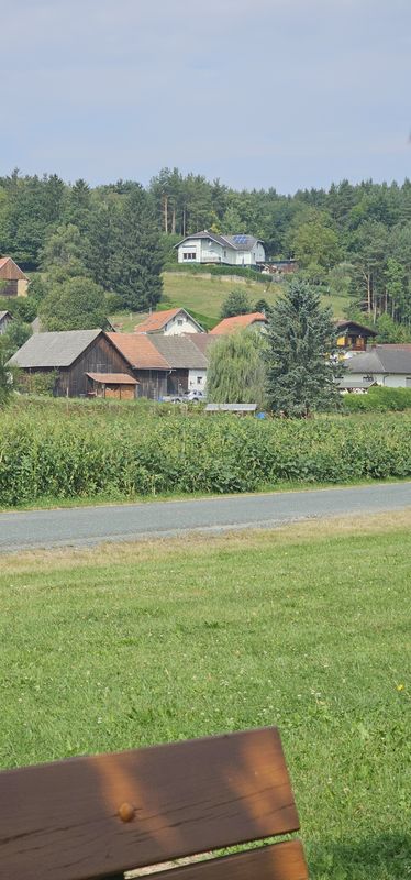 Birkengasse nach Brunnwiese