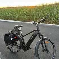 Droga Wojewódzka 534, Golub-Dobrzyń do S Żeromskiego, Golub-Dobrzyń