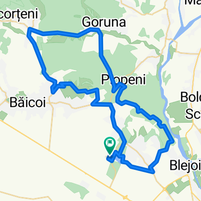 Strada Nuferilor to Strada Nuferilor