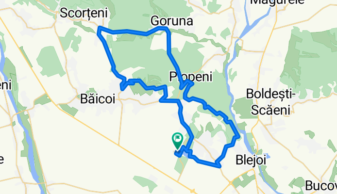 Strada Nuferilor to Strada Nuferilor