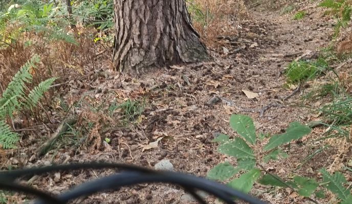Zdjęcie 2 trasy Bikemap „Via Ticino Panni nach Via Ticino Panni”