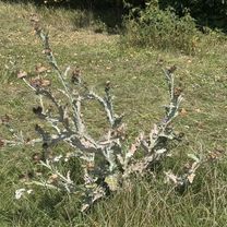 Marienbader Straße, Erlangen nach Oppelner Straße, Erlangen
