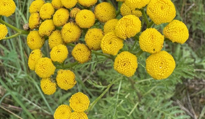 Foto 2 der Bikemap-Route "Marienbader Straße, Erlangen nach Oppelner Straße, Erlangen"