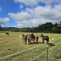 Im Winkel nach Im Winkel