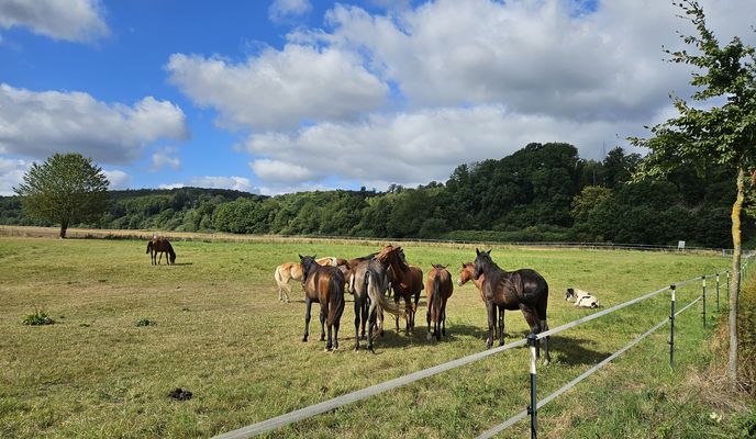 Foto 1 der Bikemap-Route "Im Winkel nach Im Winkel"