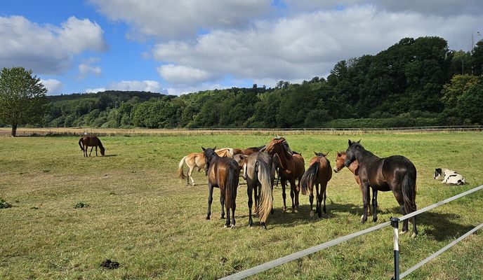 Foto 2 der Bikemap-Route "Im Winkel nach Im Winkel"
