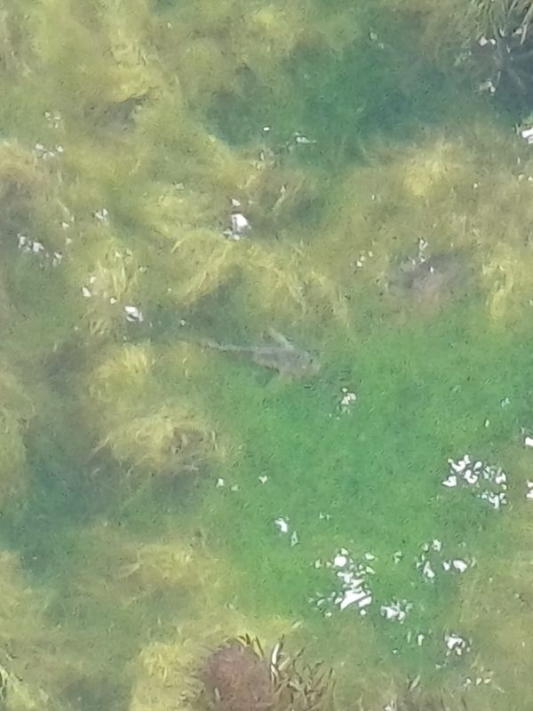 Beethovenweg nach Bahnhof