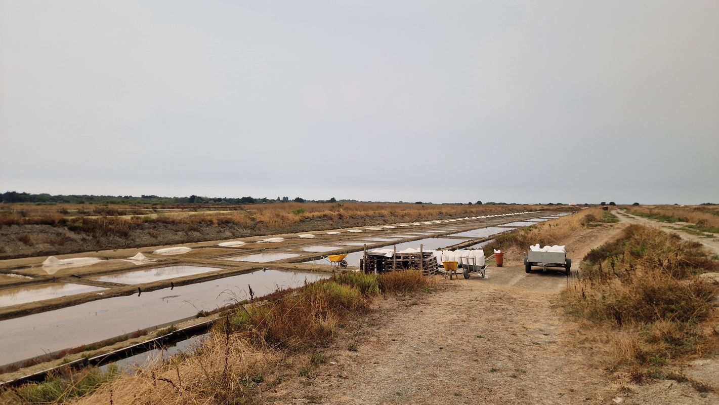 Chemin des Varennes to Sentier Nord