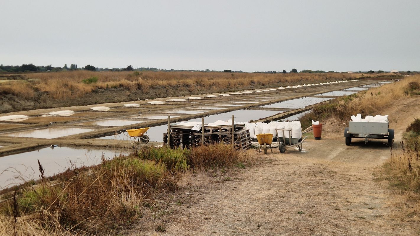 Chemin des Varennes to Sentier Nord