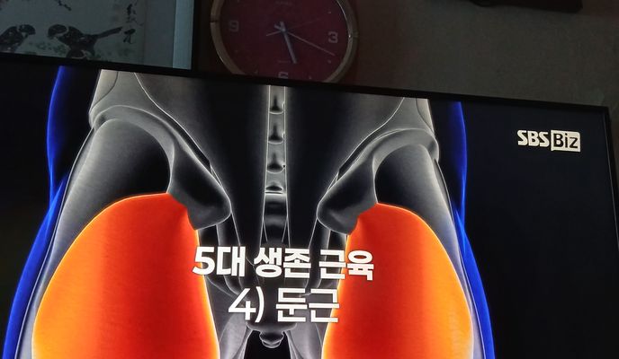 Foto 1 del percorso Bikemap "안정적인 라이딩"