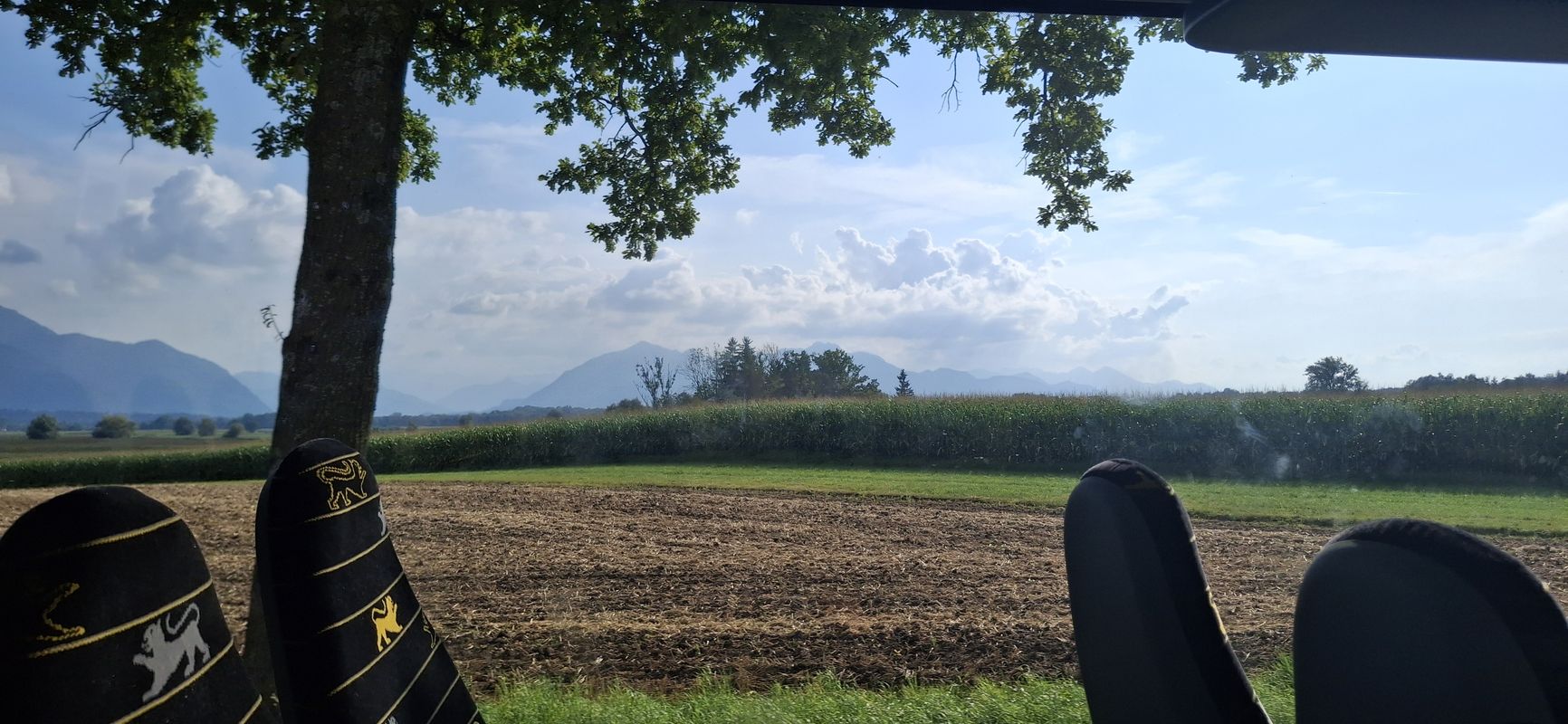 Geburtstag 16.8.25