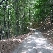 Голема Раковица - вр. Голема Икуна  - м. Мечковци  - яз. Огняново