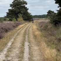 Photo 7 of the Bikemap route "Hoogeloon naar Driehuis, Casteren"