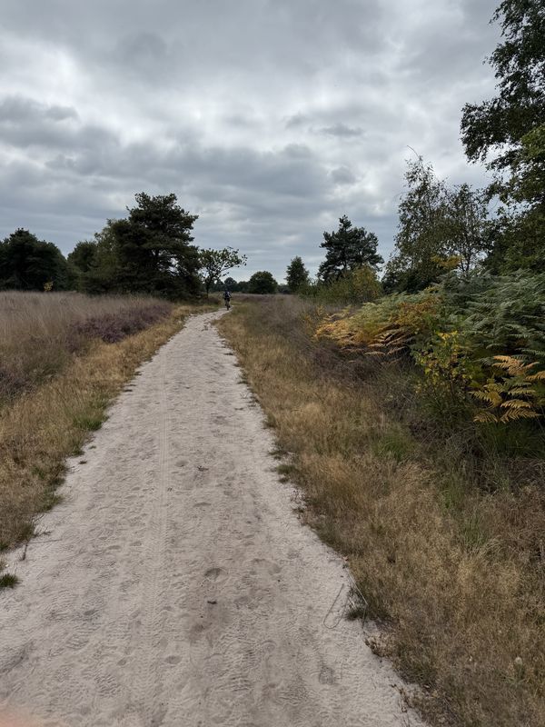 Hoogeloon naar Driehuis, Casteren