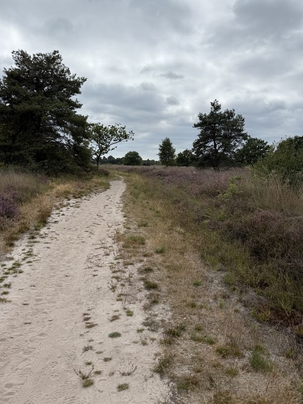 Hoogeloon naar Driehuis, Casteren