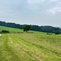 Salzburg | Flachgaurunde