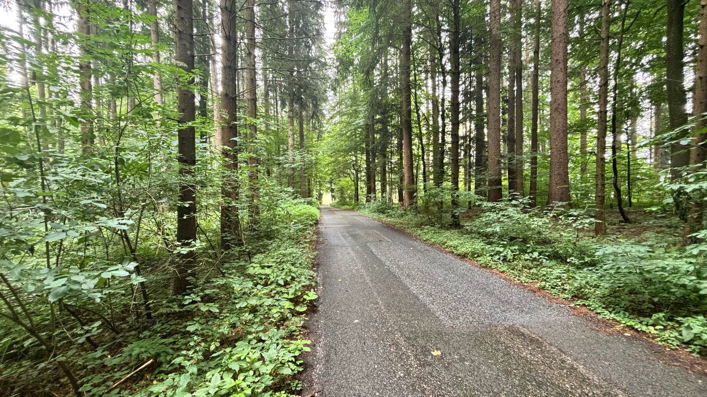 Salzburg | Flachgaurunde