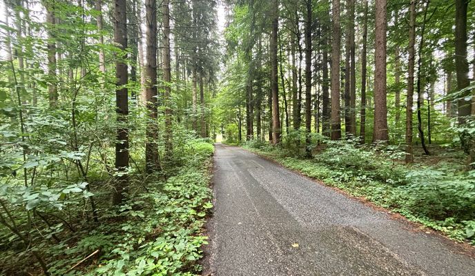 Foto 2 del percorso Bikemap "Salzburg | Flachgaurunde"