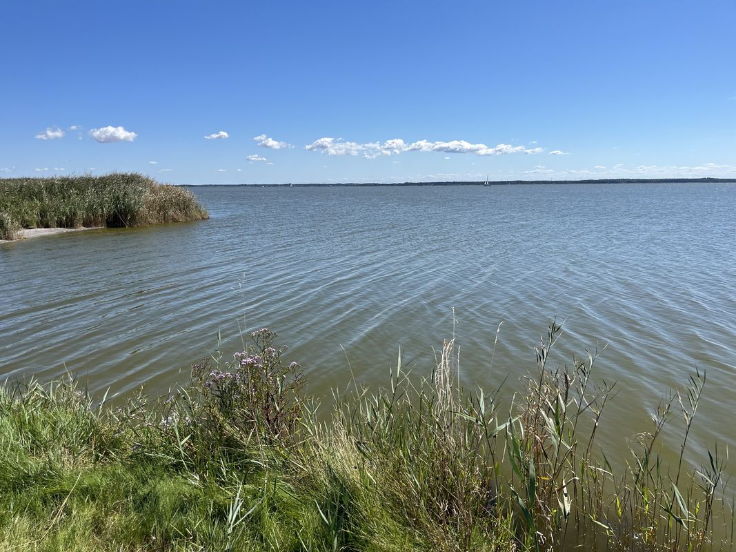 Strandstraße, Graal-Müritz nach Strandstraße, Graal-Müritz