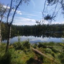 Puszcza