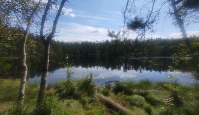 Photo 1 of the Bikemap route "Puszcza"