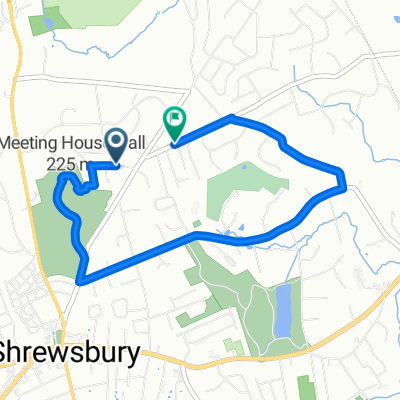 Prospect Park to Spring to North St, Shrewsbury
