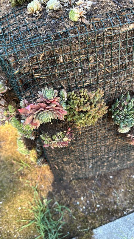 Iltisweg, Hofheim am Taunus nach Iltisweg, Hofheim am Taunus