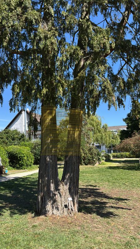 Iltisweg, Hofheim am Taunus nach Iltisweg, Hofheim am Taunus