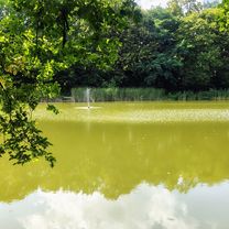 вулиця Оріхуватська to Голосіївський проспект б