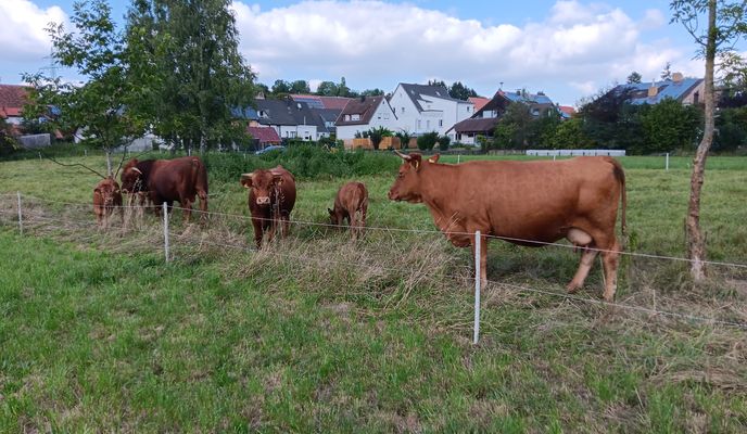Photo 1 of the Bikemap route "Stuifenweg nach Stuifenweg"
