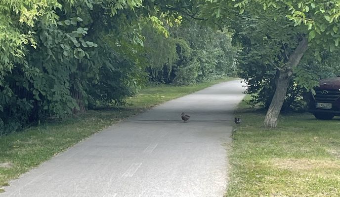 Photo 1 de l’itinéraire Bikemap « Zonc, Zonctorony - Tureň, Zonctorony »