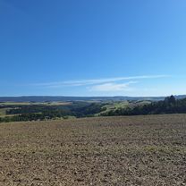 Photo 8 of the Bikemap route "MTB Runde Hunolstein🚵‍♂️Weinplatz"