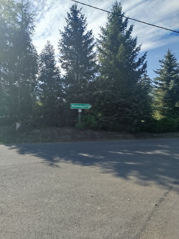 Szkolna do Wolności