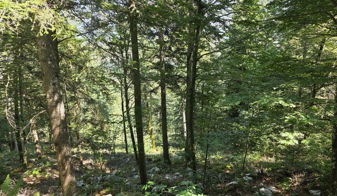 Photo 1 of the Bikemap route "Lake Cerknica"