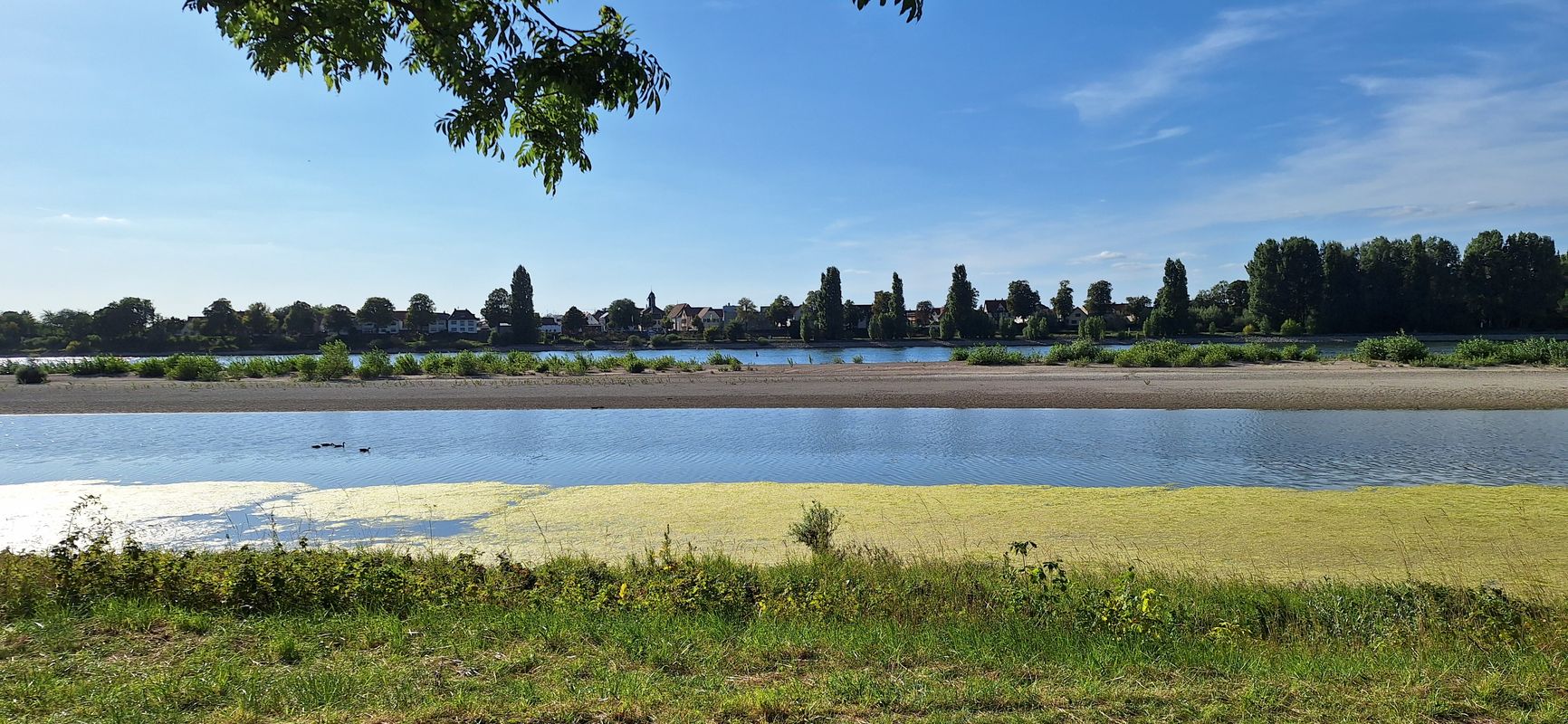Rundtour Bürstadt zur Rheifähre (Gaststätte) Nordheim Bürstadt