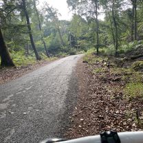Route in Fontainebleau