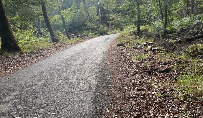 Photo 1 of the Bikemap route "Route in Fontainebleau"