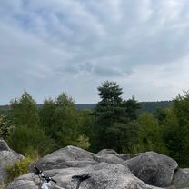 Photo 7 of the Bikemap route "Route in Fontainebleau"
