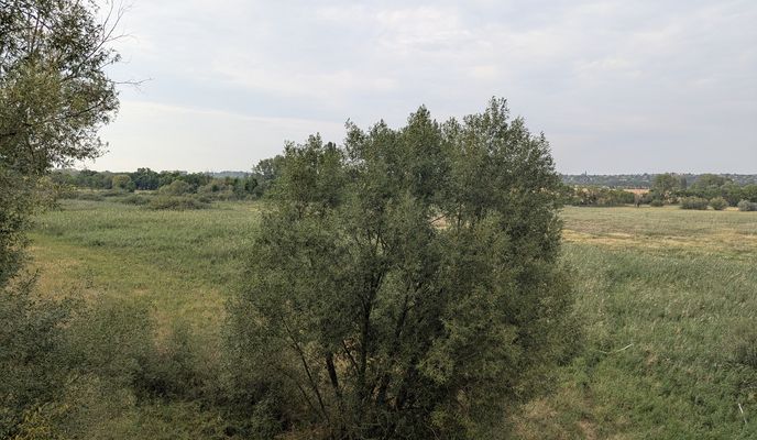 Photo 2 of the Bikemap route "Pécel - Merzse mocsár - reptér- pécel"