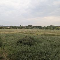 Pécel - Merzse mocsár - reptér- pécel