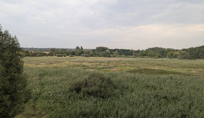 Photo 1 of the Bikemap route "Pécel - Merzse mocsár - reptér- pécel"