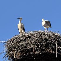 Foto 8 der Bikemap-Route "Granica" Foto 8 der Bikemap-Route "Granica"